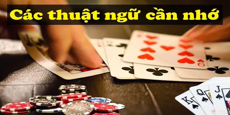 Thuật ngữ chính là chìa khóa giúp bạn hiểu rõ sản phẩm